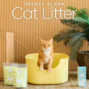 愛猫とニオイのないストレスフリーな生活