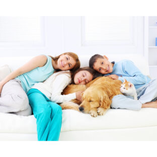 イヌやネコのしっぽの役割って知ってる？