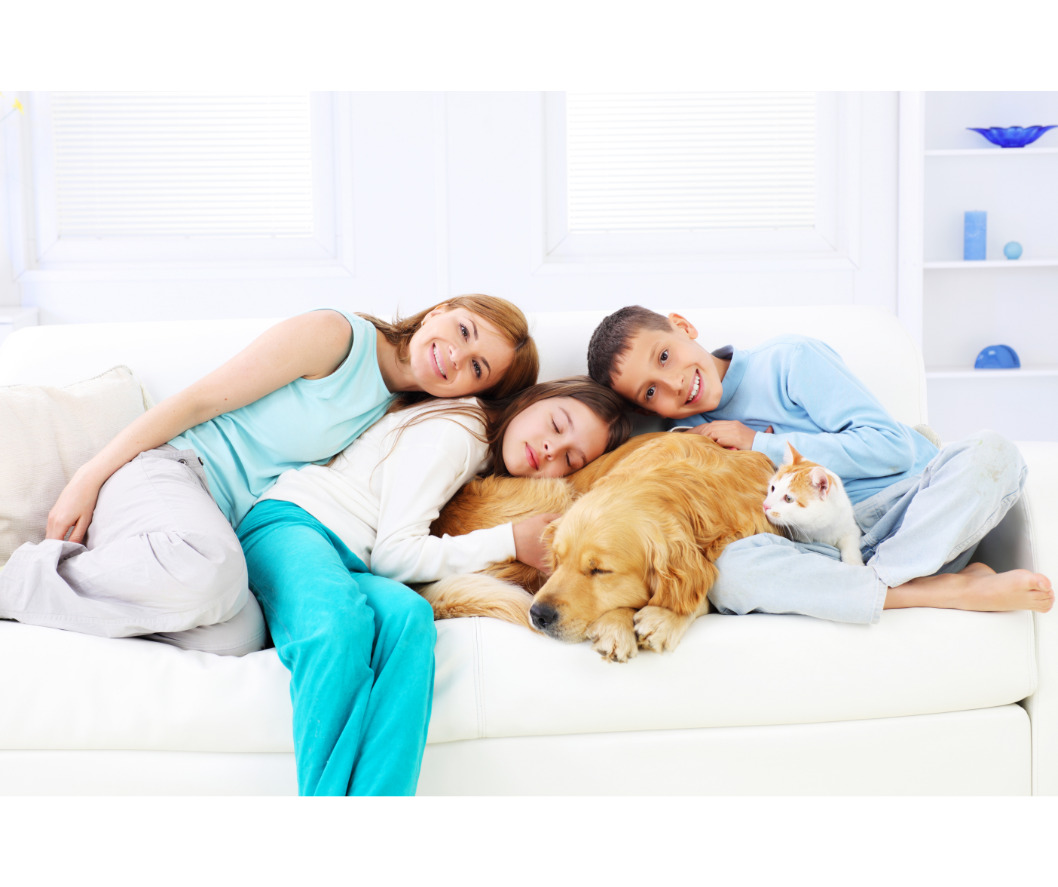 ペットと暮らす